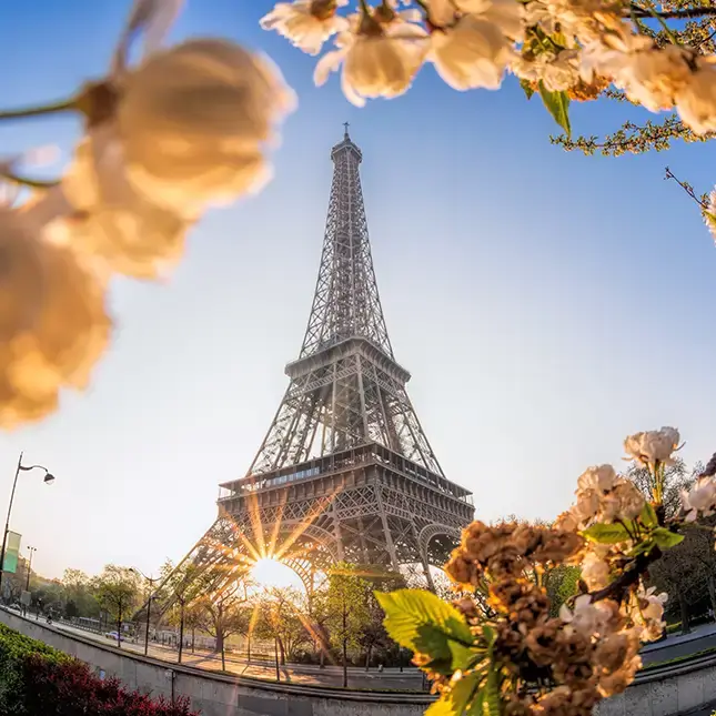 Umzug leicht gemacht Berlin Paris